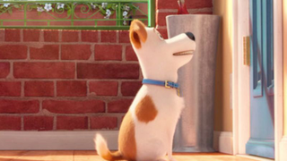 Louis CK and Albert Brooks team up for animated FX comedy
